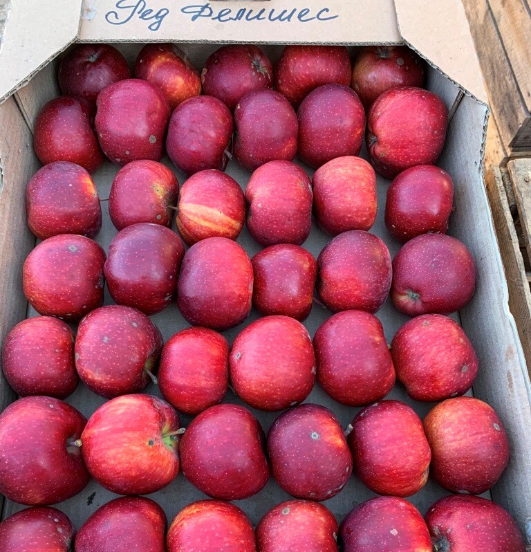 Продам яблоки оптом   Цена от 5 - до 7 грн 