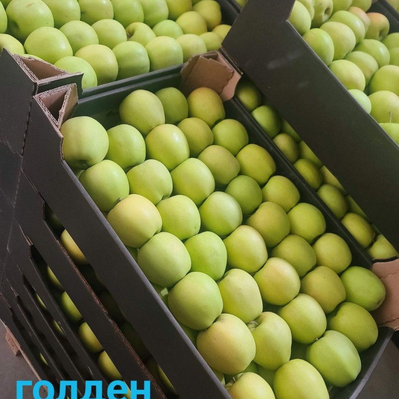 Продам яблука різних сортів 
